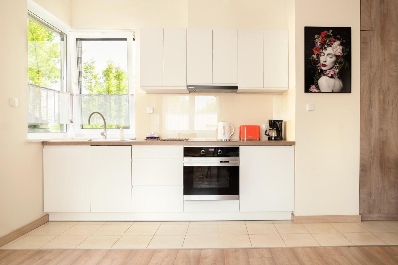 Apartament A1 Moderno Parking Stary Toruń Dış mekan fotoğraf